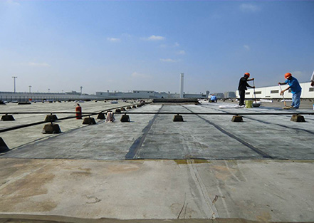 上?；瘜W(xué)建材協(xié)會(huì)防水材料及技術(shù)分會(huì)成立，公司董...